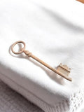 Clé ancienne de style vintage, patine rétro, déco ou collection, objet d'occasio