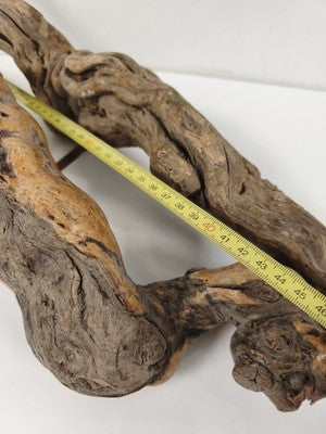 Lot de 2 grands tire-bouchons anciens en cep de vigne, vrilles acier