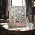 Livre ancien illustré Ville et Village Louis Énault, couverture couleur XIXe