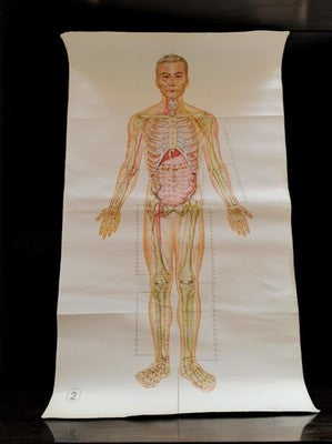 Affiche anatomique vintage Chine plan humain médecine déco murale