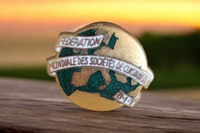 Pin's vintage Fédération mondiale B.I.T., émaillé doré, badge rétro souvenir