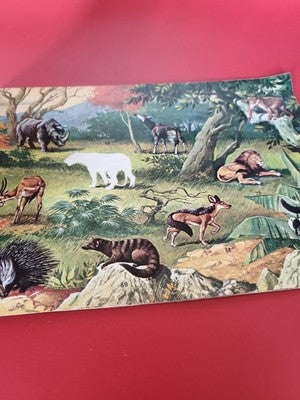 Vintage album Panini Super Zoo ancien, collection rétro stickers, presque comple