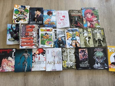 Lot de mangas et livres variés d'occasion, bandes dessinées, lecture loisirs