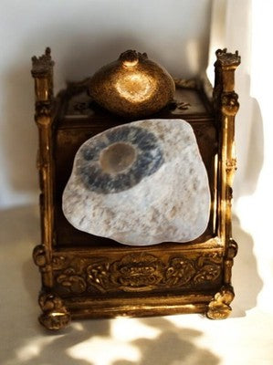 Fragment calcaire ancien empreinte mystérieuse fossilisé pierre décor