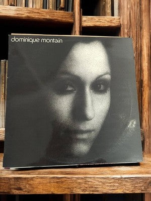 Vinyle 33 tours Dominique Montain vintage ancien disque rétro musique LP