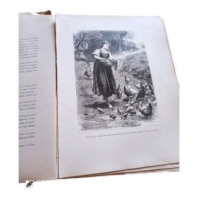 Livre ancien illustré Ville et Village Louis Énault, couverture couleur XIXe