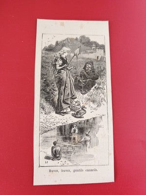 Carte ancienne illustrée "Buvez buvez gentils canards" dessin noir et blanc vint