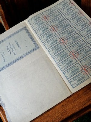Action au porteur ancienne années 1920 document financier ENZEL