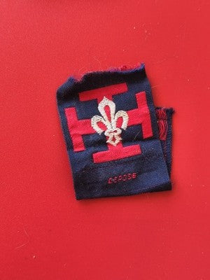 Ancien insigne vintage Scout de France promesse collection rétro scoutisme Franc