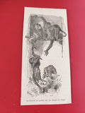 Ancien marque-page illustré singes gravure noir et blanc vintage collection