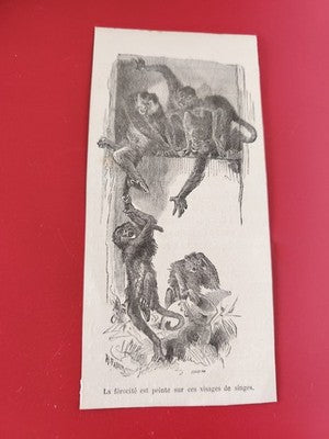 Ancien marque-page illustré singes gravure noir et blanc vintage collection