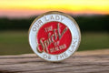 Pin's Our Lady of the Lake Spirit of Healing vintage émaillé rouge blanc