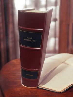 Dictionnaire Larousse ancien Pluri reliure rouge vintage gros volume rare