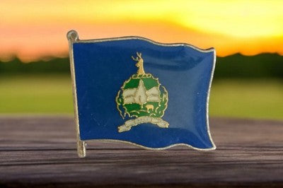Pin's drapeau Vermont vintage bleu émaillé, insigne USA ancien