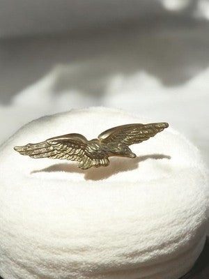 Insigne ancien Armée de l'air France, aigle ailes déployées vintage aviation