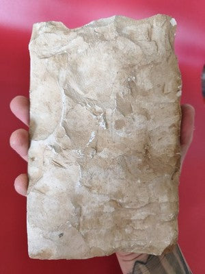 Rare bas-relief vintage scène égyptienne ancienne reproduction début XXe collect