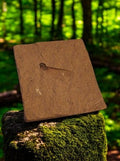 Fossile de feuille sur plaque sédimentaire – Stratification naturelle, empreinte