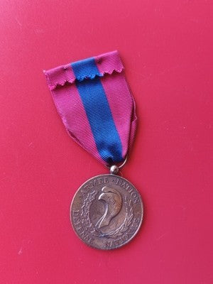 Médaille Défense Nationale France vintage ancienne collection militaire authenti