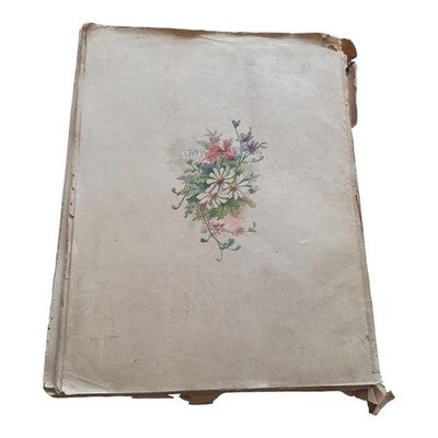 Livre ancien illustré Ville et Village Louis Énault, couverture couleur XIXe