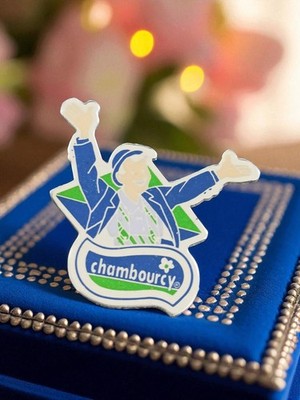 Pin's publicitaire Chambourcy vintage édition limitée bleu vert