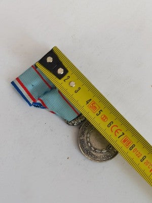 Médaille ancienne Grand Prix Humanitaire France ruban bleu déco vintage