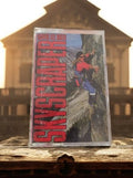 Cassette audio Skyscraper David Lee Roth K7 musique rock pochette couleur