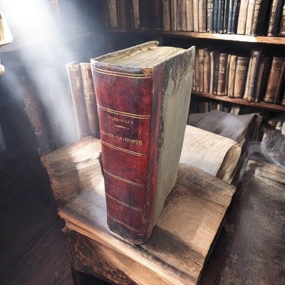 Livre Jules Mary Roger La Honte XIXe siècle reliure cuir gravures