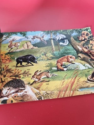 Vintage album Panini Super Zoo ancien, collection rétro stickers, presque comple