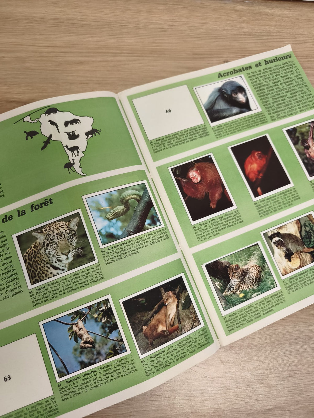Vintage album Panini WWF Animaux à sauver incomplet collection nature