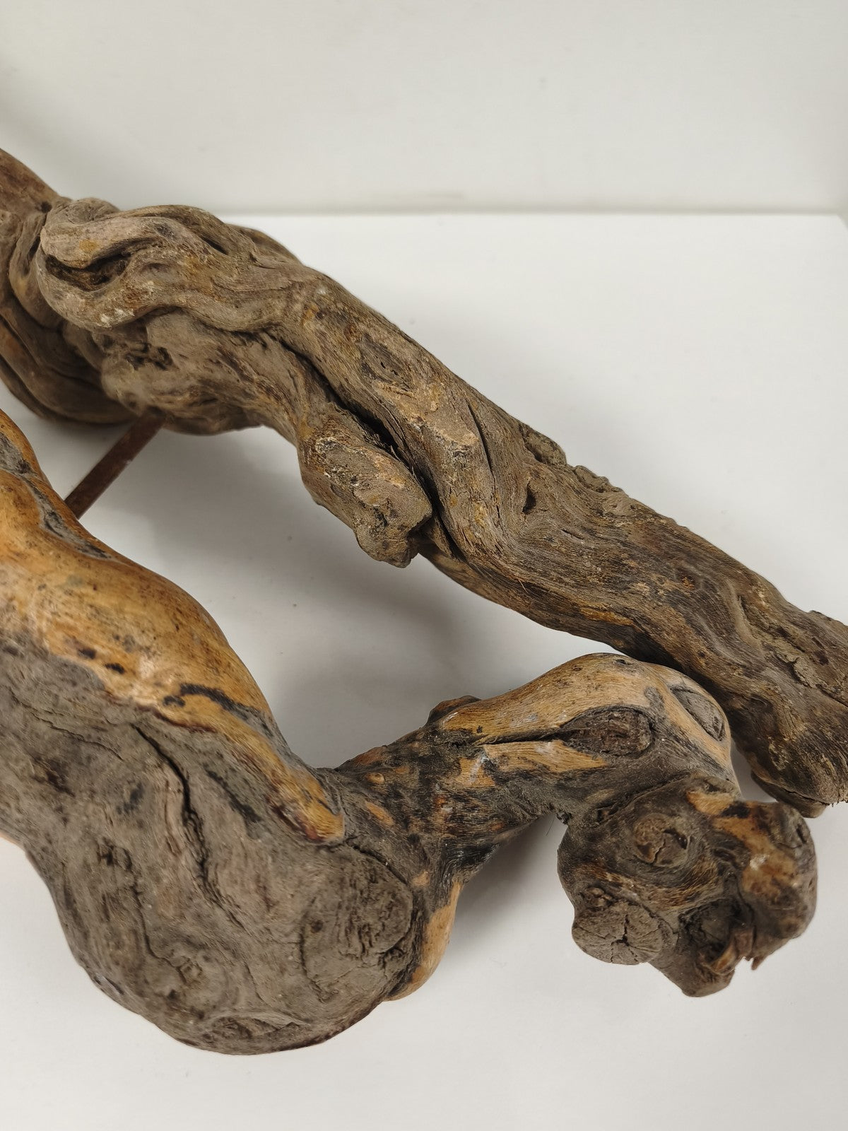 Lot de 2 grands tire-bouchons anciens en cep de vigne, vrilles acier