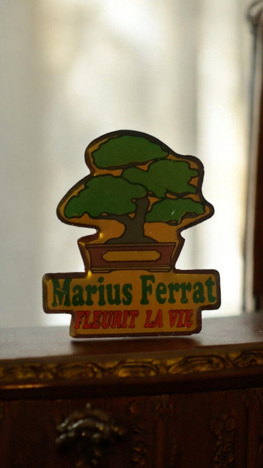 Pin's vintage Marius Ferrat bonsaï publicitaire – Fleurit la vie – Années 90