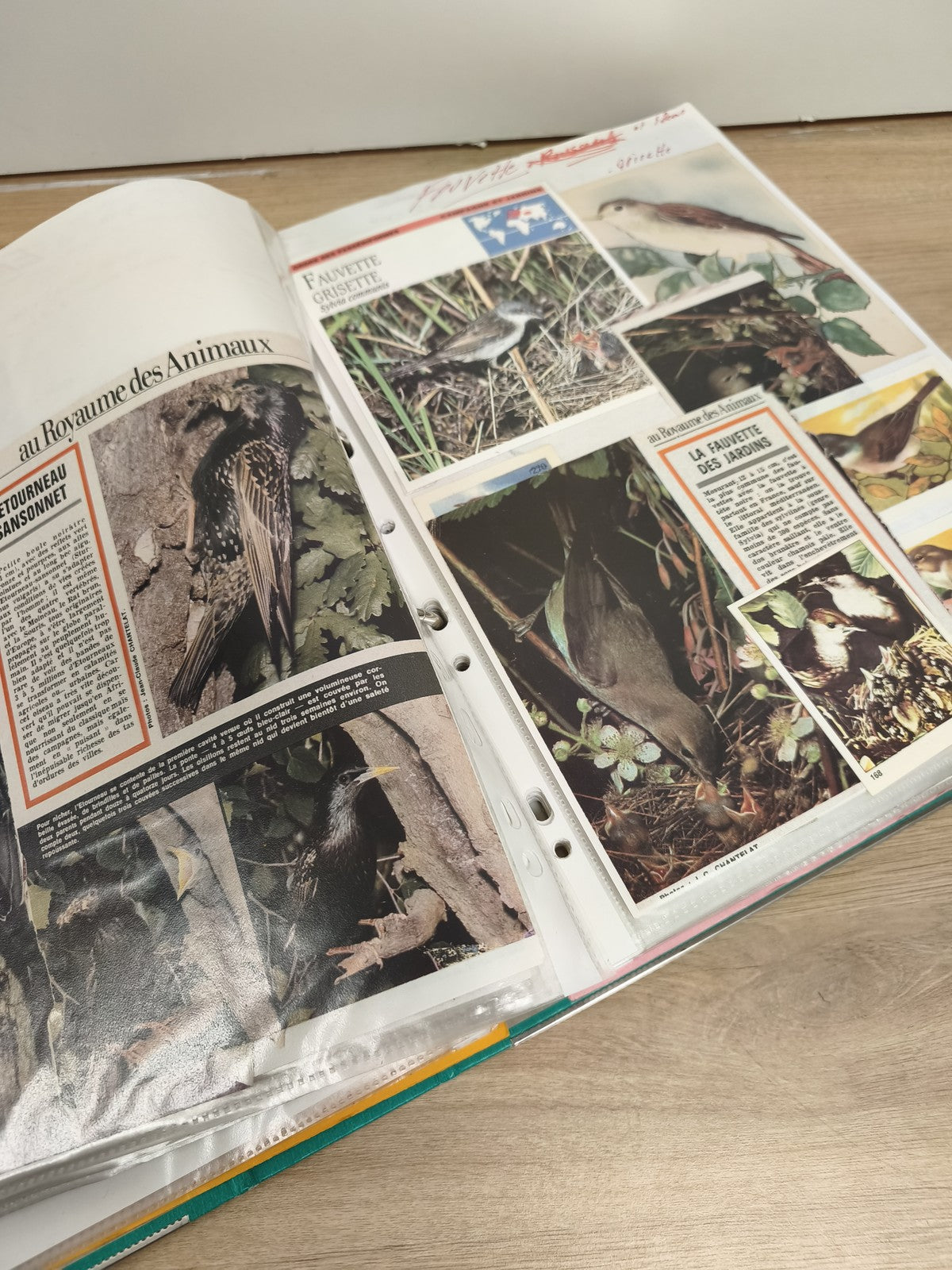 Lot d?images anciennes d?animaux oiseaux ? classeur collection vintage