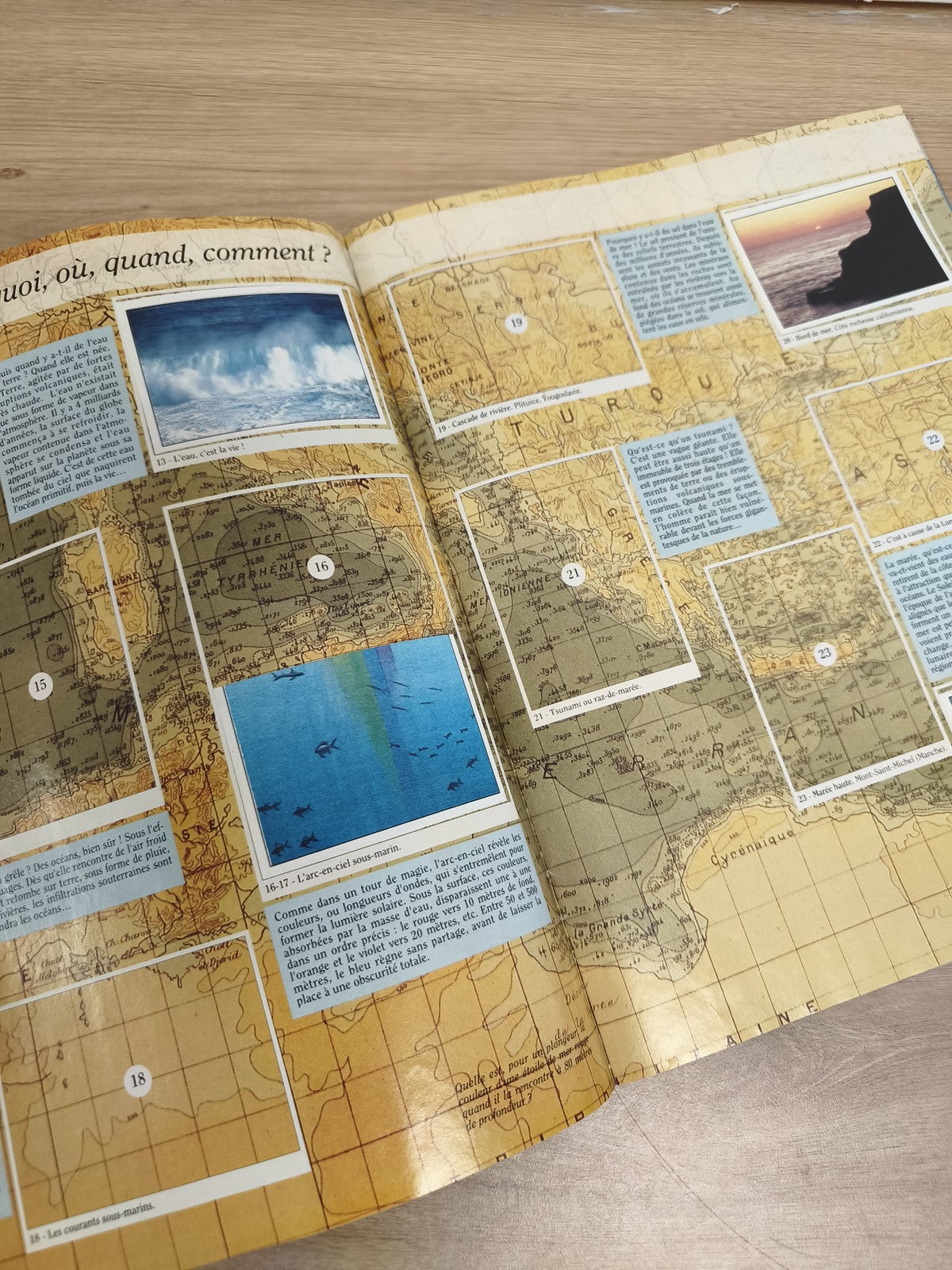 Vintage album Panini La Planète Bleue incomplet ? Océan, animaux marins