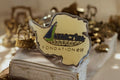 Pin's vintage Fondation ELF Antarctica forme continent, badge ancien pétrolier F