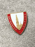 Insigne ancien blason Antwerpen Lourdes émaillé rouge doré badge pèlerinage