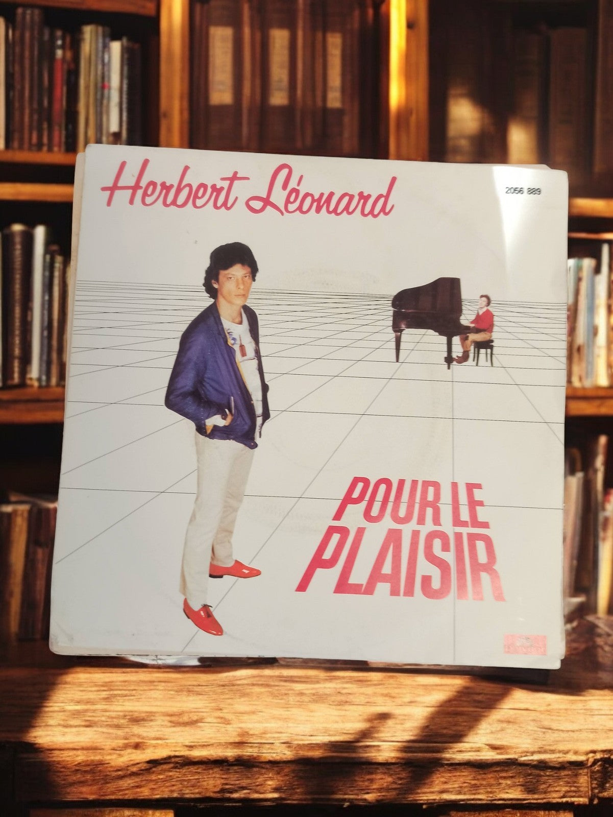 Vinyle 45 tours Herbert Léonard Pour le plaisir ancien rétro chanson française