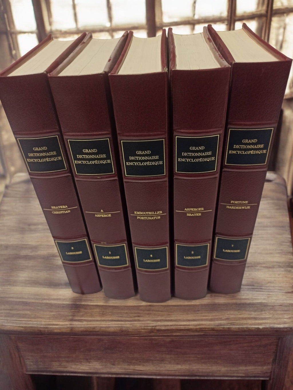 Lot livres anciens Grand Dictionnaire Encyclopédique vintage collection rétro