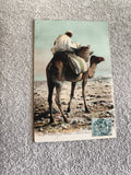 Carte postale illustrée Afrique scène désert, dromadaire timbre CPA