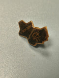 Pin's vintage Crédit Agricole Le Bon Sens forme carte France doré collection