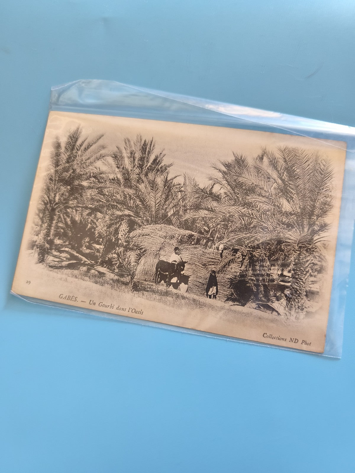 Carte postale vintage ancienne Gabès Tunisie collection rétro souvenir postal
