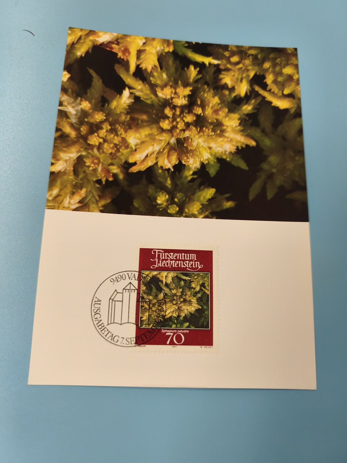 Carte postale timbre Liechtenstein fleurs jaunes Sphagnum palustre oblitérée