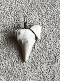 Dent de requin fossile pendentif, montage fil métallique, gris blanc