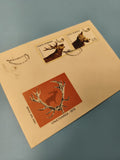 Enveloppe premier jour FDC Vi?na?toarea 1976, timbre cerf et loup, Roumanie