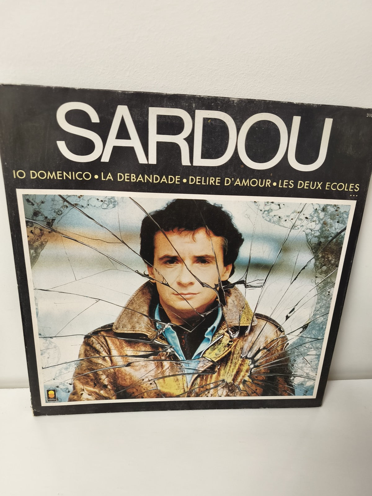 Vintage disque vinyle 33T Michel Sardou ancien album rétro collection musique