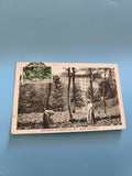 Carte postale ancienne vintage Santuario di Graglia Italie collection rétro rare