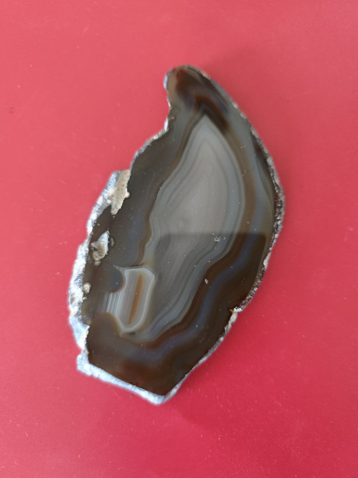 Grande tranche d?agate ancienne vintage, section polie, tons marron et gris