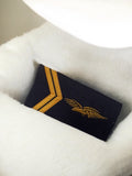 Fourreau grade ancien Armée de l’Air vintage insigne aviateur doré