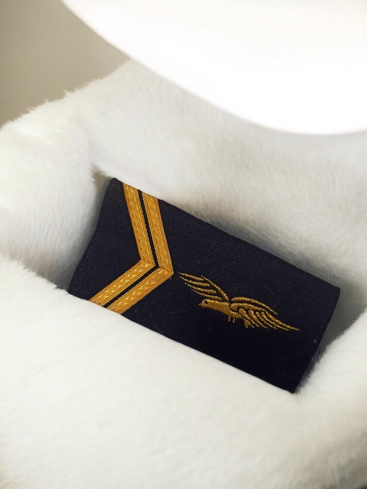 Fourreau grade ancien Armée de l’Air vintage insigne aviateur doré