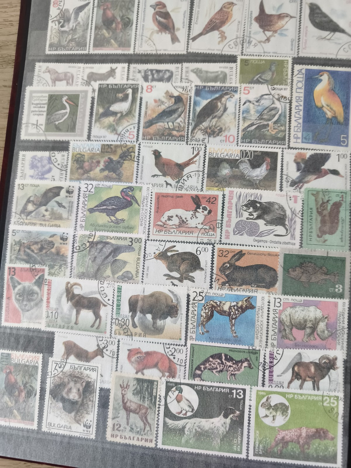 Lot de timbres animaliers thématiques Bulgarie oiseaux et mammifères usagés