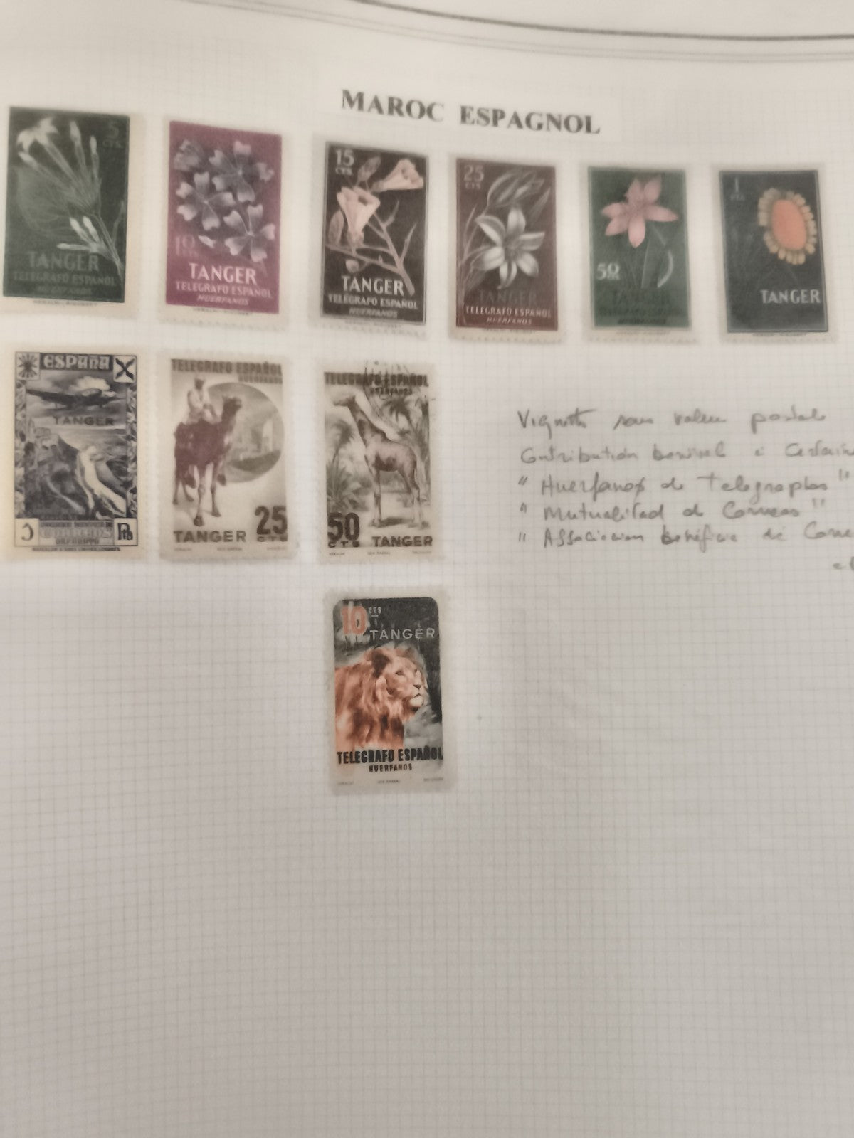 Timbres Maroc Espagnol Tanger Télégraphe séries fleurs animaux